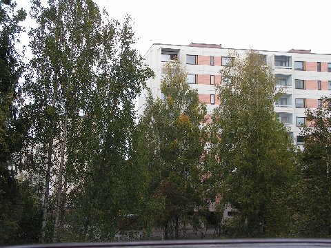 927740.jpg
