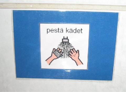 1124529.jpg