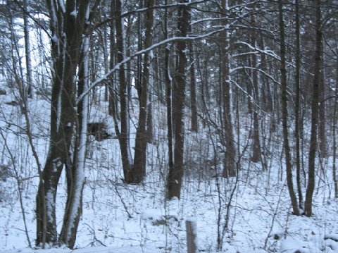 1130200.jpg