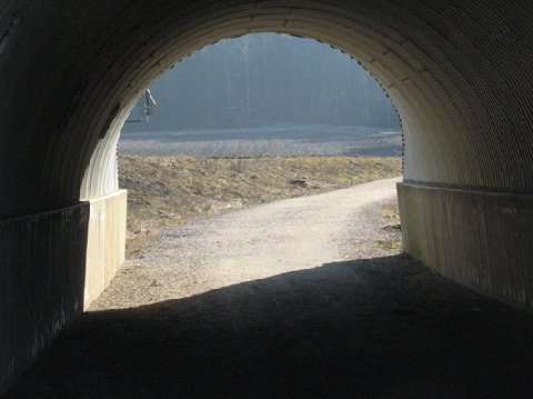 935949.jpg